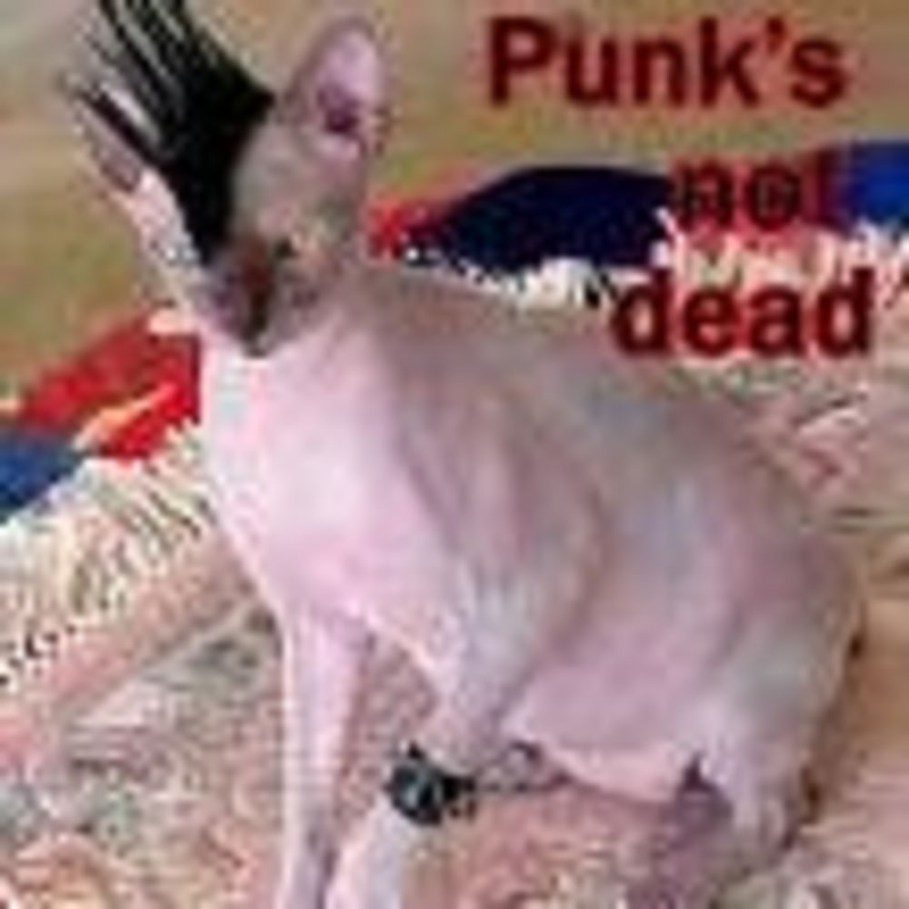 Meet your Posher, Punk